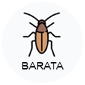 barata